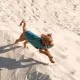Жилет для тварин Pet Fashion E.Vest морська хвиля S-M (4823082424146)