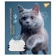 Тетрадь Yes Adventurous cats 24 листов линия (766656)