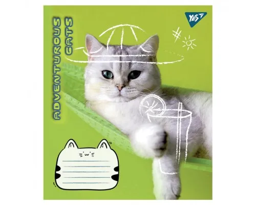 Тетрадь Yes Adventurous cats 24 листов линия (766656)