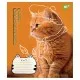 Тетрадь Yes Adventurous cats 24 листов линия (766656)