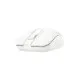 Мишка A4Tech FB12S Wireless/Bluetooth White (4711421967877)