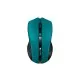 Мышка Canyon MW-5 Wireless Green-Black (CNE-CMSW05G)