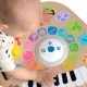 Игровой развивающий центр Baby Einstein Clever Composer Tune Magic Touch (12398)