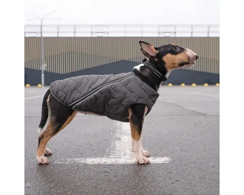 Жилет для тварин Pet Fashion E.Vest M2 сірий (4823082424405)