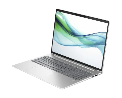 Ноутбук HP ProBook 460 G11 (8Z679AV_V1)