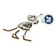 Набор для творчества Ses создание гипсовой фигурки Ти-Рекс со скелетом (14206S)