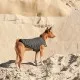 Жилет для животных Pet Fashion E.Vest XL серый (4823082424429)