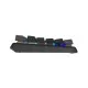 Клавиатура A4Tech FS100 RGB FS Switch USB Stone Black (4711422003925)