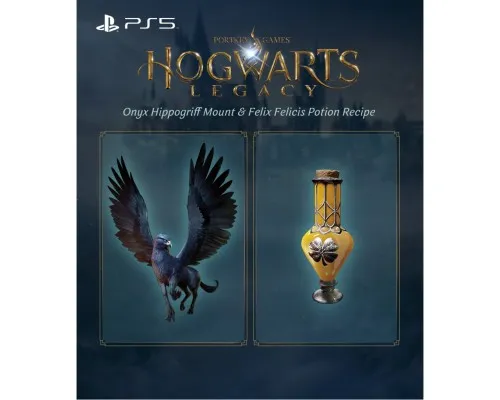 Гра Xbox Hogwarts Legacy, BD диск (5051895413449)