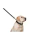 Повідок для собак Collar подвійний з прошивкою Ш 14 мм Д 122 см чорний (04521)