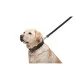 Повідок для собак Collar подвійний з прошивкою Ш 14 мм Д 122 см чорний (04521)