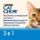 Сухий корм для кішок Purina Cat Chow Feline 3 в 1 з індичкою 15 кг (7613034153746)