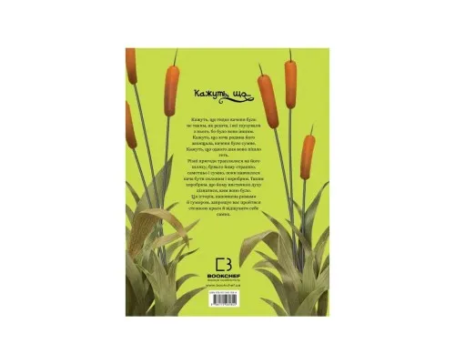 Книга Кажуть, що... гидке каченя - Моніка Лопес і Валерія Давіла BookChef (9786175481844)