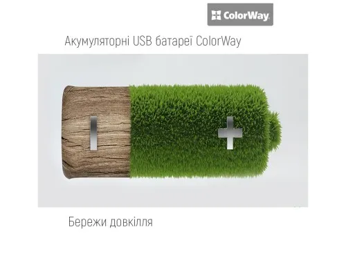 Акумулятор ColorWay AA USB-С 2220 mAh 1.5V (2шт) (Li-Polymer) (CW-UBAA-10)