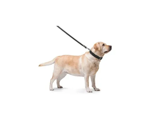 Повідок для собак Collar подвійний з прошивкою Ш 16 мм Д 122 см чорний (04571)
