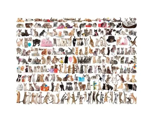 Пазл Eurographics Мир кошек, 1000 элементов (6000-0580)