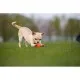 Игрушка для собак Liker Мячик 9 см (6295)