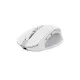 Мышка Trust Ozza compact Bluetooth/Wireless/USB-A White (24933)