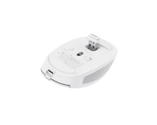 Мышка Trust Ozza compact Bluetooth/Wireless/USB-A White (24933)