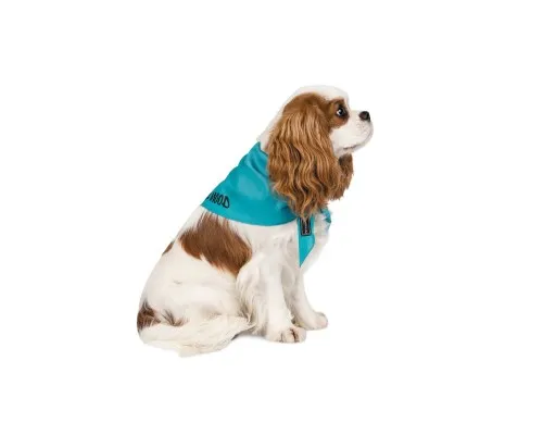 Бандана для животных Pet Fashion WEEKEND M-XL голубая (4823082421138)