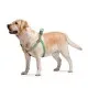 Шлея для собак WAUDOG Re-cotton з QR-паспортом L зелена (033318)