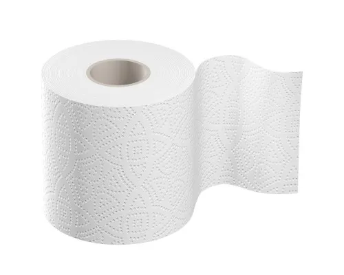 Туалетная бумага Диво Econom 2 слоя белая 4 рулона (4820003832066)