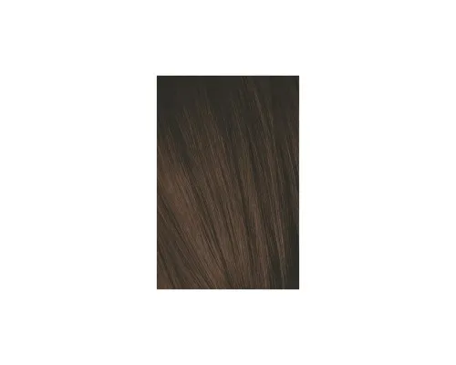 Краска для волос Schwarzkopf Professional Igora Royal Absolutes 4-60 Шоколадный натуральный 60 мл (4045787281149)