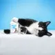 Вітаміни для котів ProVET комплекс для кошенят, вагітних та лактуючих кішок 180 табл. (4823082431632)