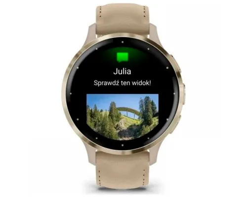 Смарт-часы Garmin Venu 3S, Fr. Gray + Soft Gold, Leather, GPS (010-02785-55)