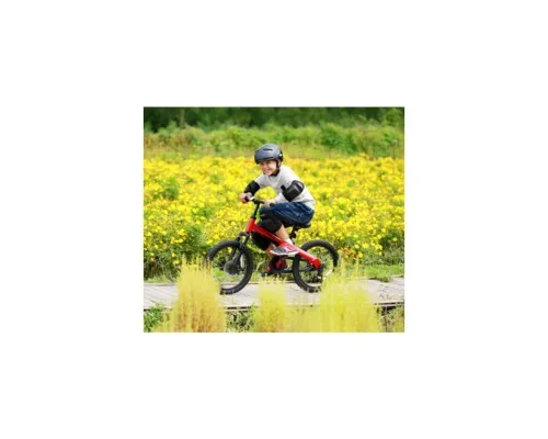 Дитячий велосипед Ninebot Kids Bike 18'' Red (789219)