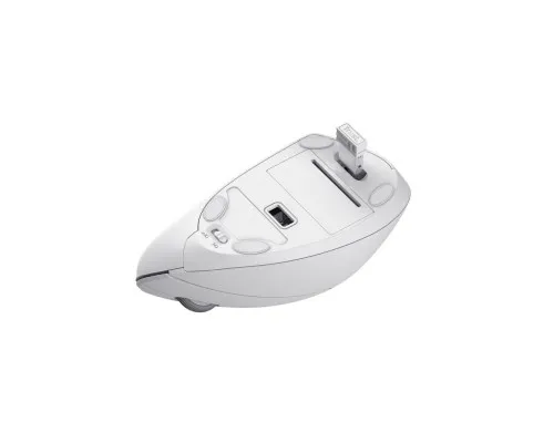 Мышка Trust Verto Ergonomic Wireless White (25132)