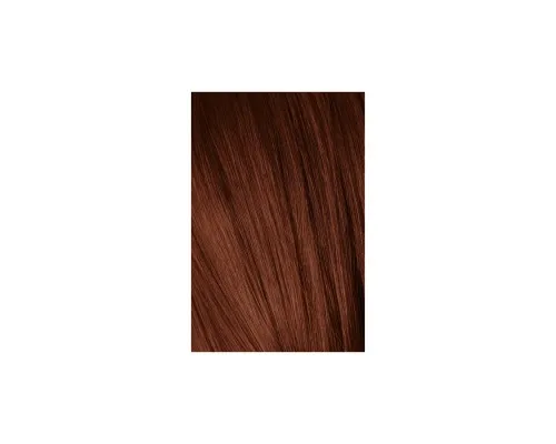 Фарба для волосся Schwarzkopf Professional Igora Royal Absolutes 5-80 Червоний натуральний 60 мл (4045787282337)