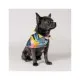 Бандана для животных Pet Fashion WEEKEND M-XL принт (4823082421091)