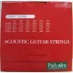 Струни для гітари Parksons Acoustic XL (10-48) (S1048)