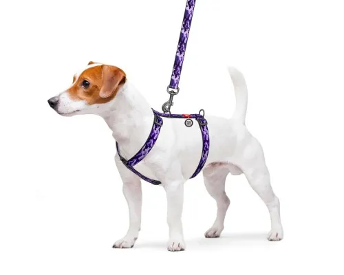 Шлея для собак WAUDOG Nylon з QR паспортом анатомічна H-подібна Фіолетовий камо S (5604)