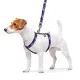 Шлея для собак WAUDOG Nylon з QR паспортом анатомічна H-подібна Фіолетовий камо S (5604)