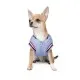 Бомбер для тварин Pet Fashion Spike XL (4823082430185)