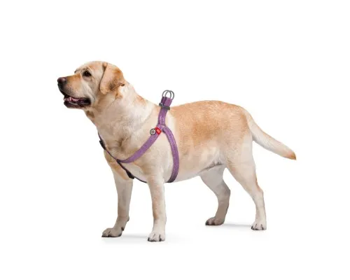 Шлей для собак WAUDOG Re-cotton с QR-паспортом L фиолетовая (03339)