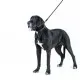 Повідок для собак Evolutor 120 см 25 мм чорний (42101)