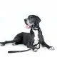 Повідок для собак Evolutor 120 см 25 мм чорний (42101)