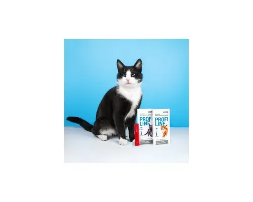 Капли для животных ProVET Profiline инсектоакарицид для кошек 4-8 кг 4/1 мл (4823082431106)