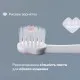 Детская зубная щетка Chicco для первых зубьев, 6-36 мес. розовая (8058664174683) (12081.00)