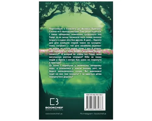 Книга Таємне озеро - Карен Інґліс BookChef (9789669935663)