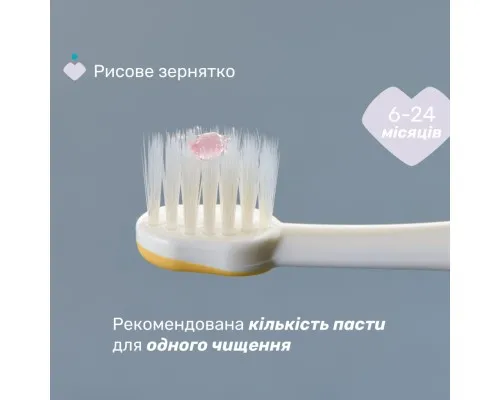 Дитяча зубна щітка Chicco для перших зубів, 6-36 міс., 2 шт. (8058664174713) (12082.11)