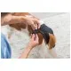 Гігієнічні труси для собак Trixie S-M 32-39 см (чорні) (4011905234922)