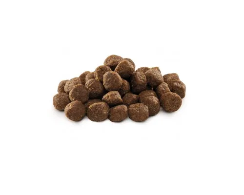 Сухий корм для собак Brit Premium Dog Junior M 1 кг (8595602526314)