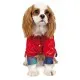 Вітровка для тварин Pet Fashion AIR для собак розмір XS (червона) (4823082420629)