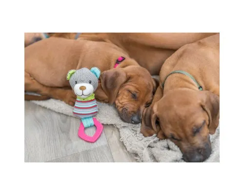 Іграшка для собак Trixie «Junior» Ведмедик з кільцем 23 см (4011905361772)