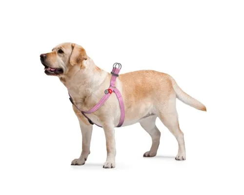 Шлей для собак WAUDOG Re-cotton с QR-паспортом М розовая (03327)