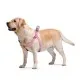 Шлей для собак WAUDOG Re-cotton с QR-паспортом М розовая (03327)
